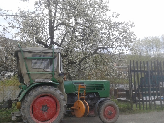 Farmer im Frühling