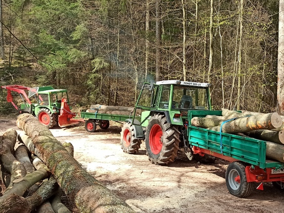 Farmer 102S und 309LSA beim Holz fahren