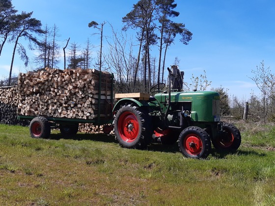 F28 Brennholztransport