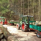 Farmer 102S und 309LSA beim Holz fahren