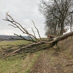 War höchste Zeit,