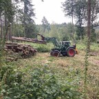 Donnerstag Holz für Schnitzel versetzt
