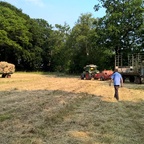 Fendt Farmer 3S, Baujahr 1967, der noch arbeiten muss ... oder darf?!