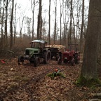 Im Wald mit Favorit 3