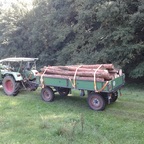 Holz 3.