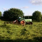 Karl (Farmer 3S ) mit Fella TH 660D Hydro ca. 6,6m Arbeitsbreite im Pony Heu