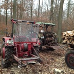 Im Wald mit Favorit 3