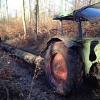 Im Wald mit Favorit 3