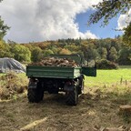 Das letzte Brennholz für 2025
