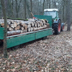 Projekt Käferholz