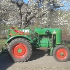 Dieselross im Frühling