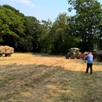 Fendt Farmer 3S, Baujahr 1967, der noch arbeiten muss ... oder darf?!