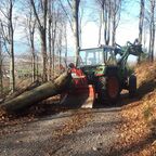 holzrücken am Berg