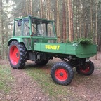 250 GTS im Wald
