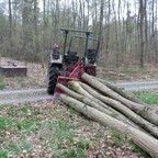 Farmer 2 beim Brennholz rücken