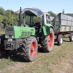 Mein Fendt Favorit 611s beim Mais fahren