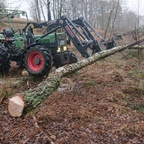 Holz machen
