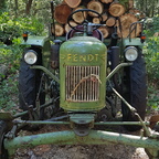 F12 bj1956 im Wald