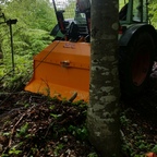 Im Bergwald mit 275 S