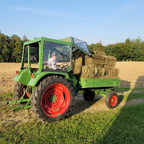 Enkelsohn mit GT 250
