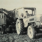 Fendt favorit 3 ('66) mit Stoll Rübenroder.