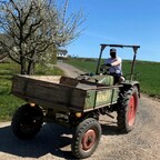 Restauration Fendt Gt231