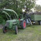 Fendt Favorit 2 und Fliegl EDK-K80 mit Wurzeln