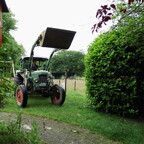 Fendt Farmer 3S, Baujahr 1967, der noch arbeiten muss ... oder darf?!