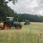 Mittwoch Platz gemulcht
