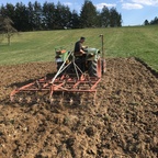 Grubbern bei Sonnenschein