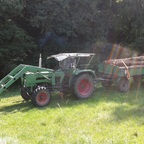 Holz 2.