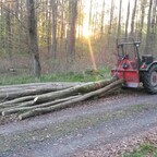 Farmer 2 beim Brennholz rücken