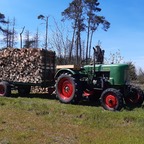 F28 Brennholztransport