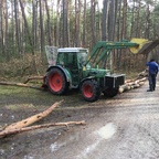 Forstarbeit - Fendt 250S mit Seilwinde