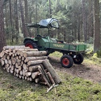 GT 250 mit Brennholz