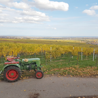 Fahrt in den goldenen Herbst