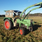 Fendt Farmer 2s auf der Wiese