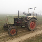Dieselross im Nebel
