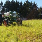 Fendt am frühen Abend