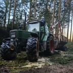 Fendt 311 in seinem Haupteinsatzgebiet 😜