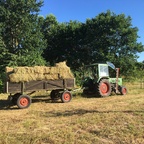 Fendt 102s / Köla Anhänger / Heuernte