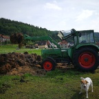 Farmer 106S bei anrüchiger Arbeit