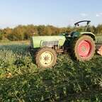 Fendt 106s