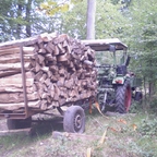 Fendt GT 225 mit Meterholzwagen